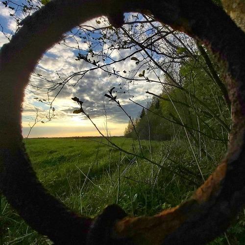 Photo #4923214