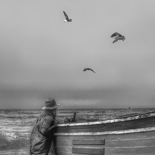 Photo #4923738
