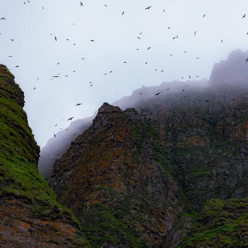 Photo #4923856