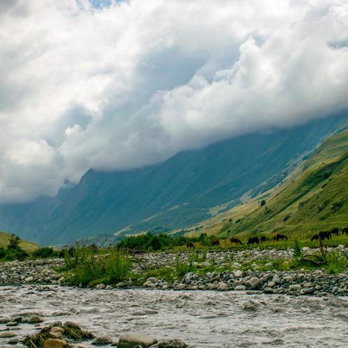 Photo #4923945