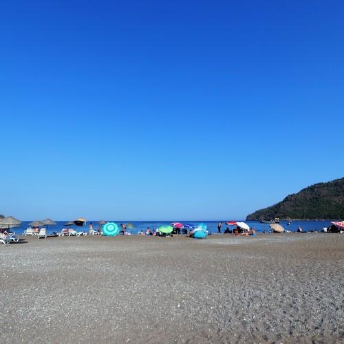 Photo #4924371