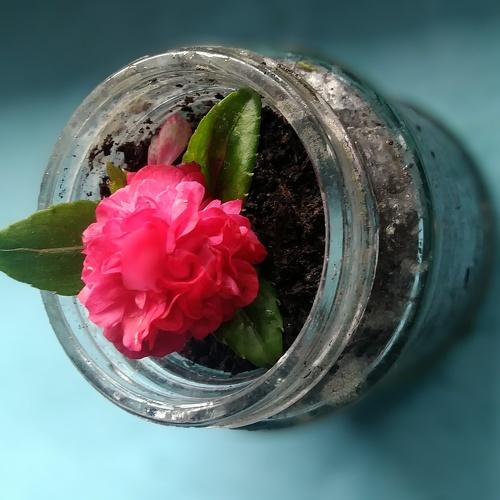 Photo #4924432