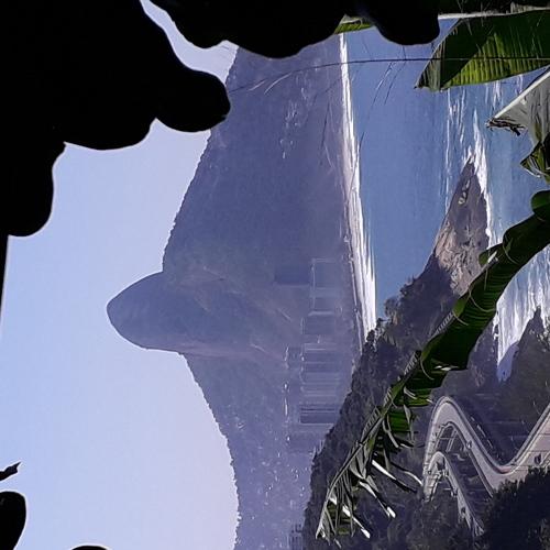 Photo #4924675