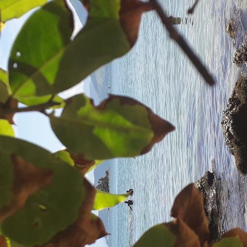 Photo #4924684