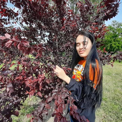 Photo #4924838