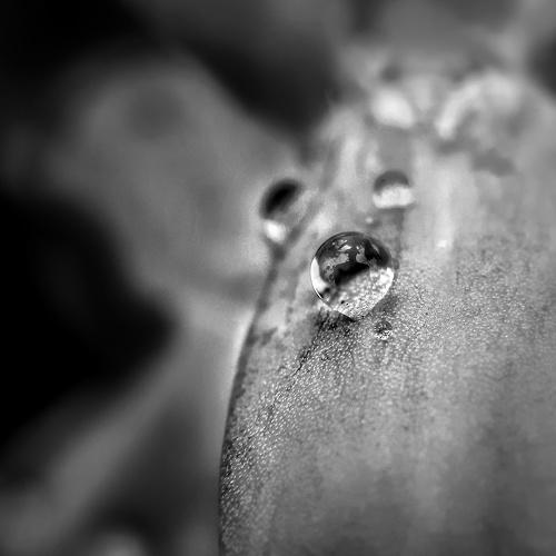 Photo #4924866