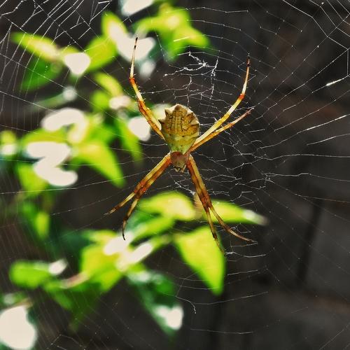 Photo #4924903