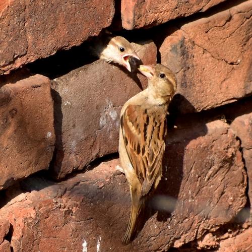 Photo #4924925
