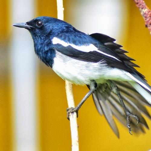 Photo #4924942
