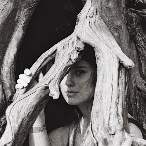 Photo #4925097