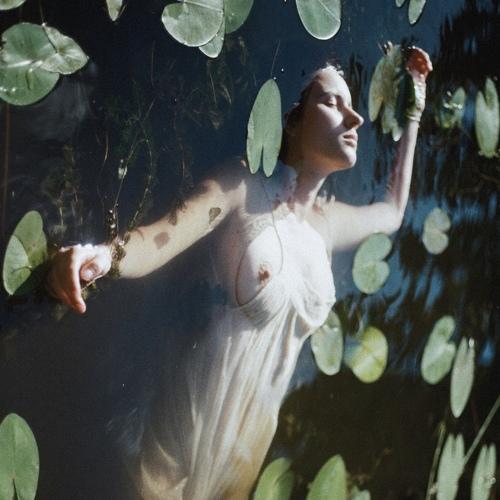 Photo #4925110