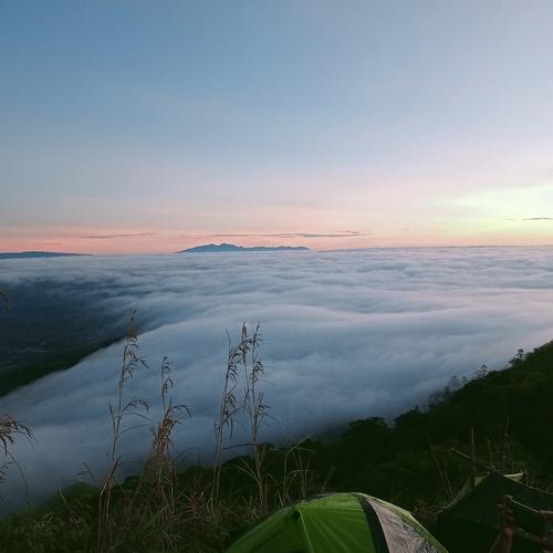 Photo #4925254