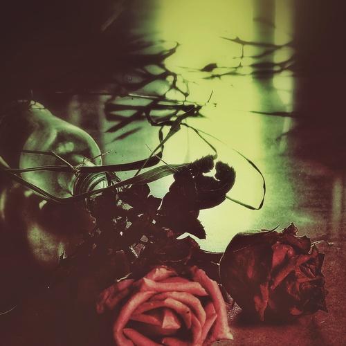 Photo #4925524