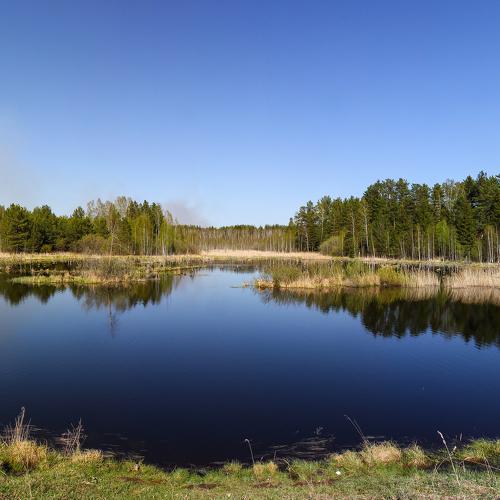 Photo #4925933