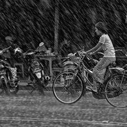 Photo #4925939