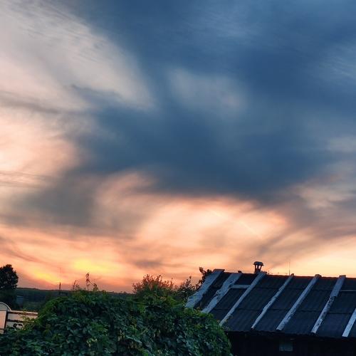 Photo #4925995