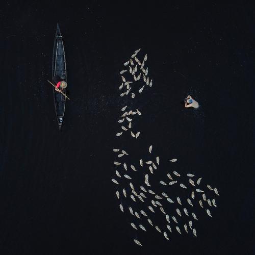 A photographer's action