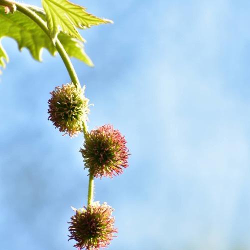 Photo #4926198