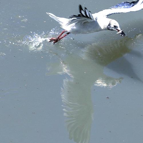 Photo #4926357
