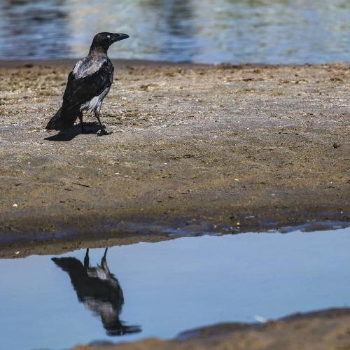 Photo #4926369