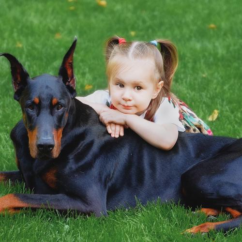 Photo #4926416
