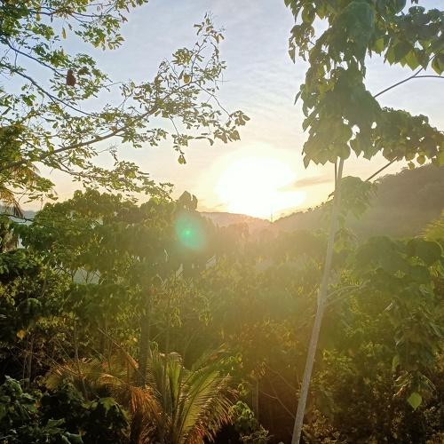 Photo #4926784
