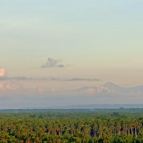 Photo #4926802