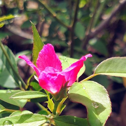 Photo #4926812