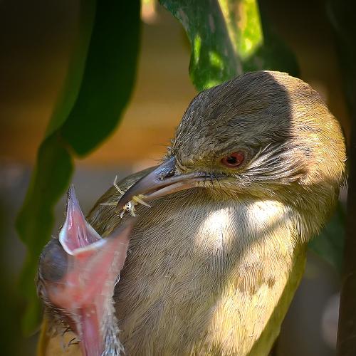 Photo #4926964