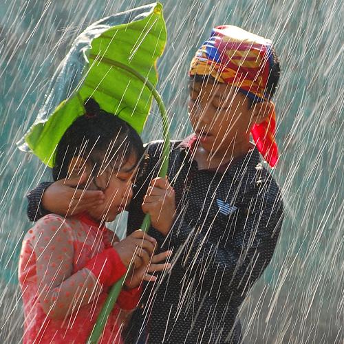 Photo #4926972