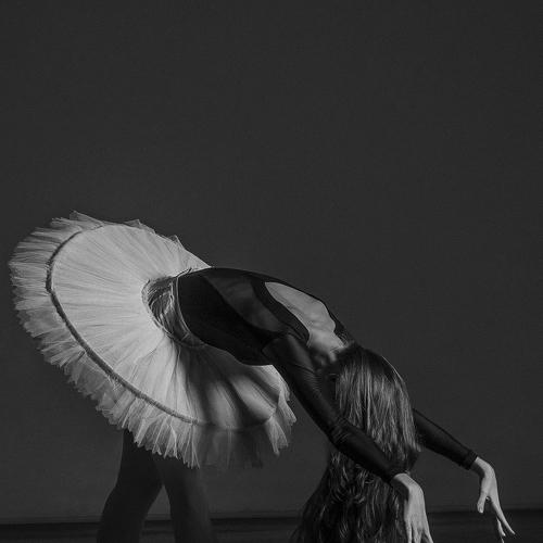 Photo #4927071