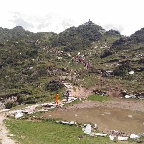 Photo #4927593