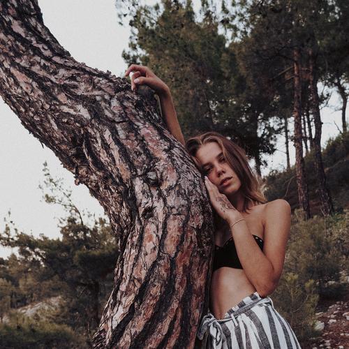 Photo #4928254