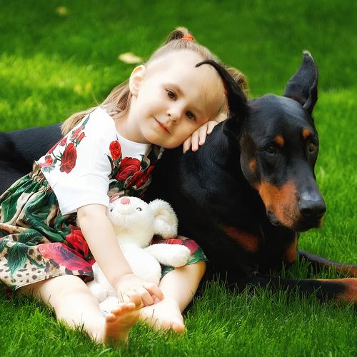 Photo #4929336