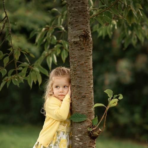 Photo #4929474