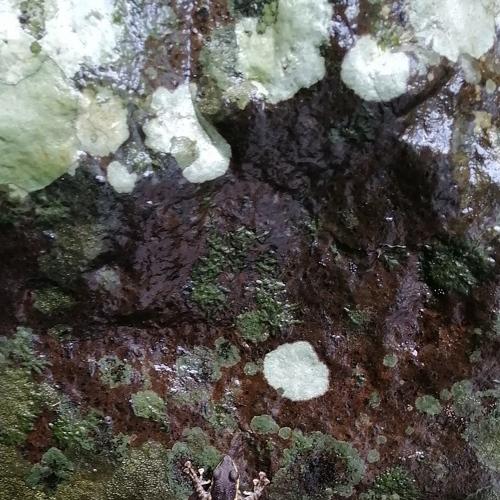 Photo #4929518