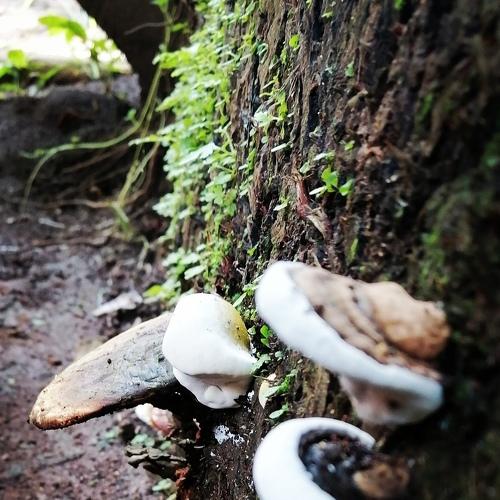 Photo #4929521