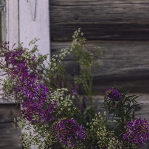 Photo #4929803