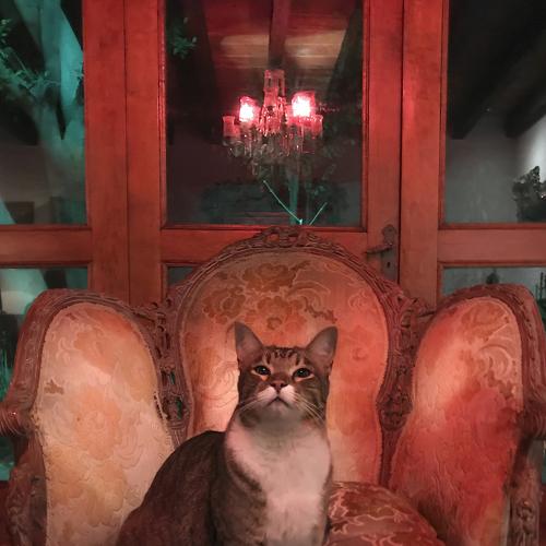 Photo #4930141
