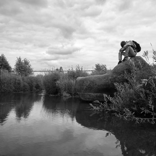 Photo #4930993