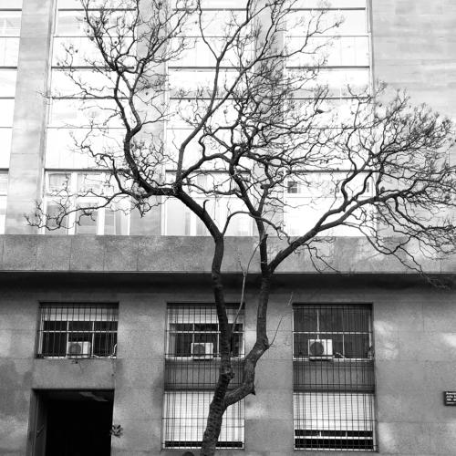 Photo #4931075