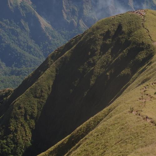 Anak Dara Hill