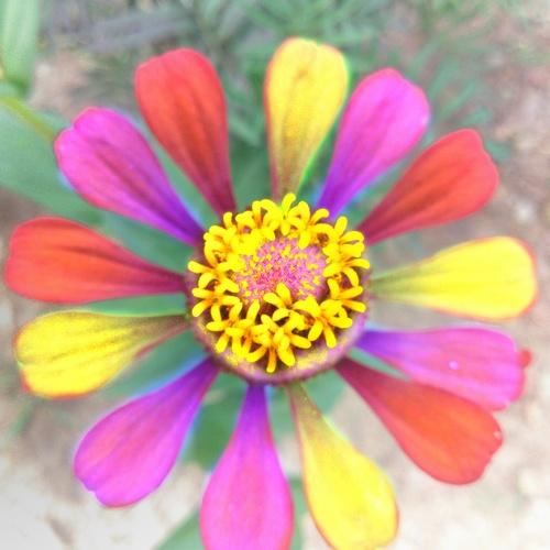 Photo #4931561