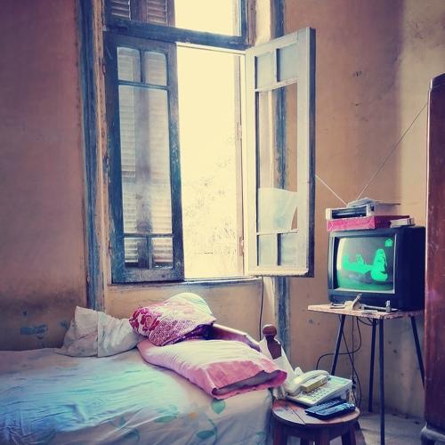 Photo #4932552