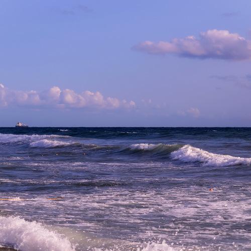 Photo #4932822