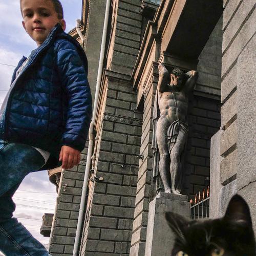 Cat's why
