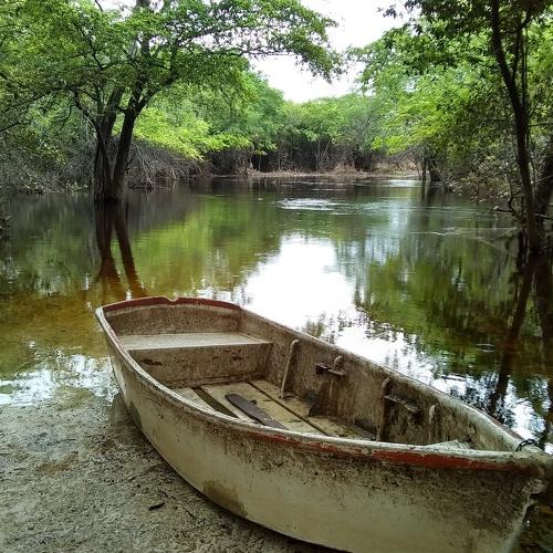 Photo #4933056
