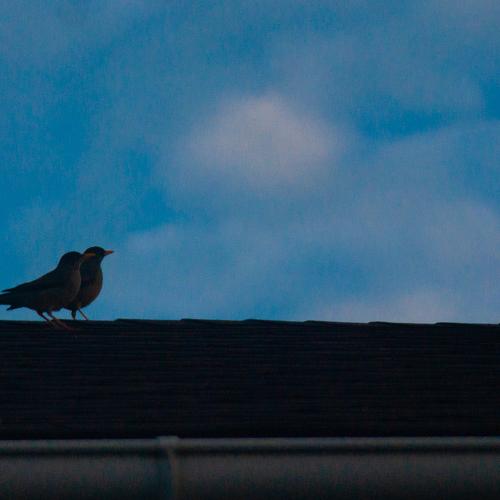 Photo #4933174