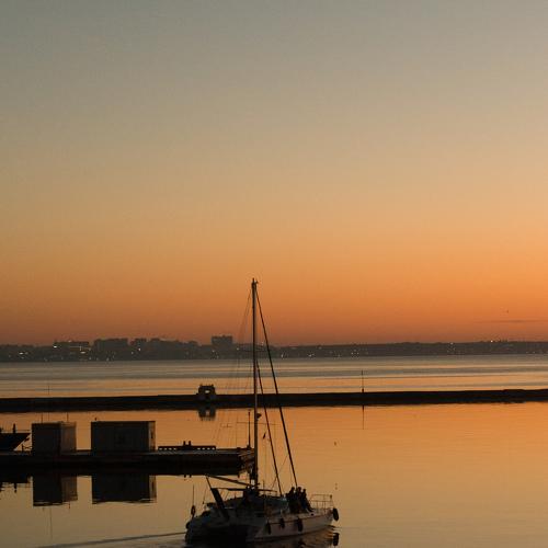 Photo #4933528