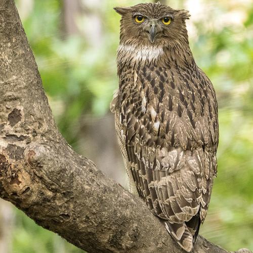 Photo #4934158